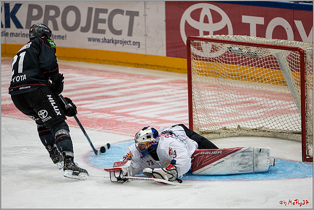 Koelner Haie - EHC Red Bull Muenchen , 16.09.16(KW37)
